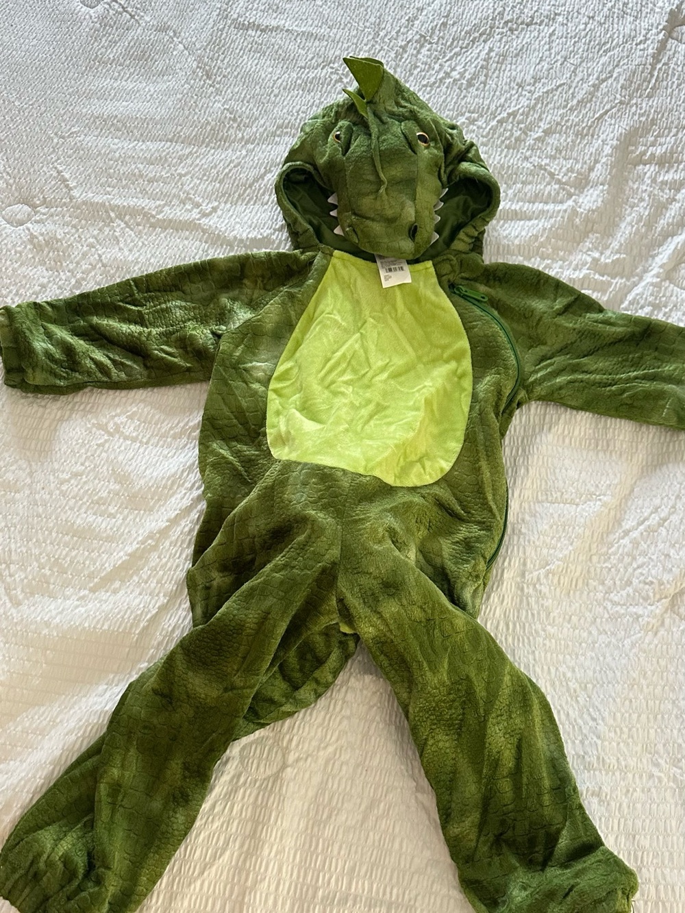 Target Green Plush Dino Hooded Kids Costume